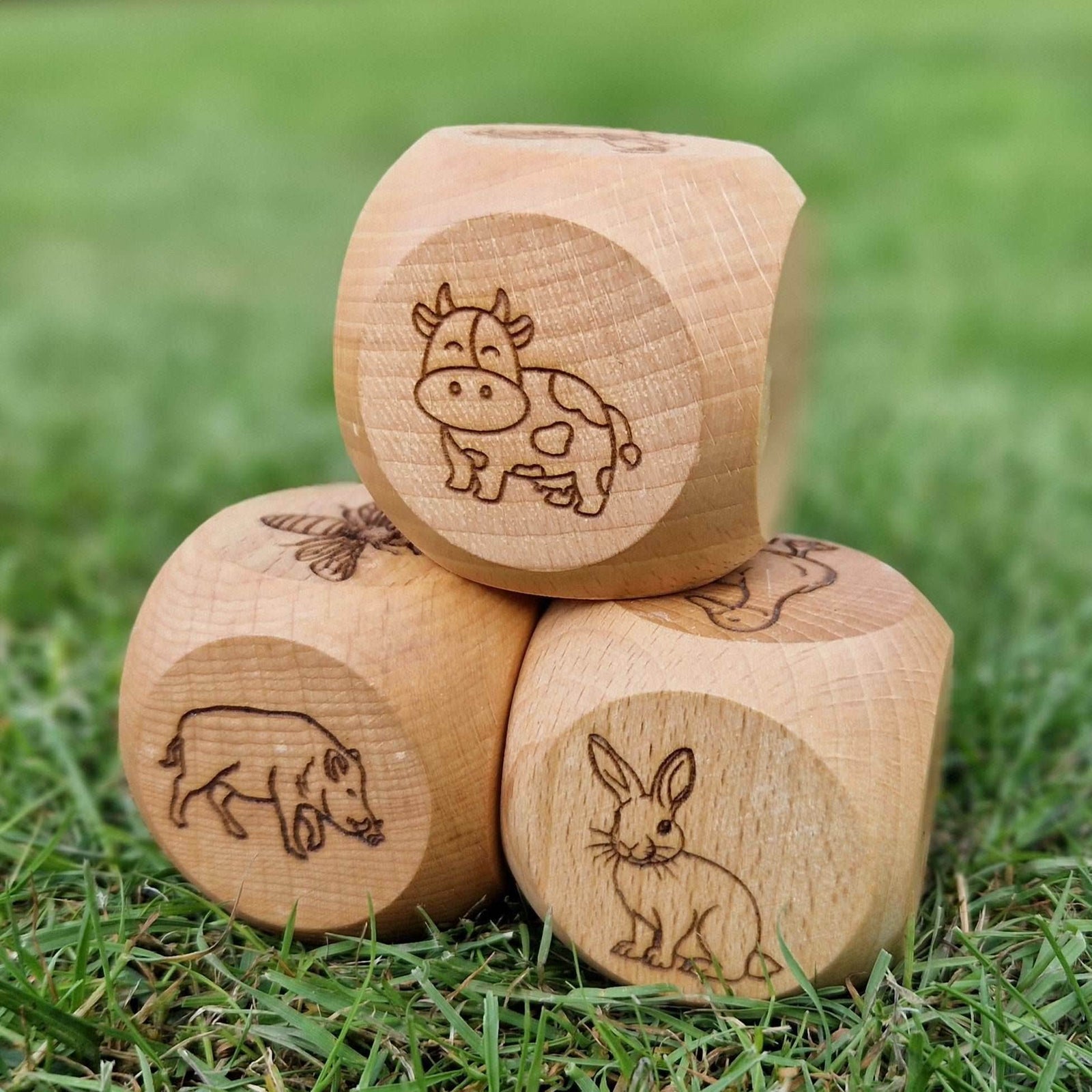 Erinnerungs- Würfel für Familien - Würfelset Tiere