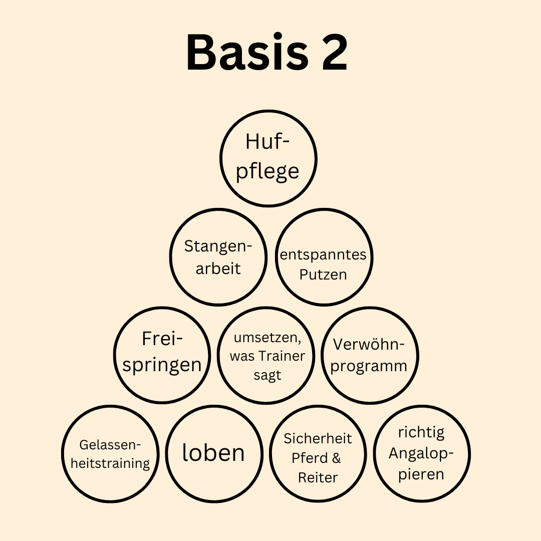 Basis 2