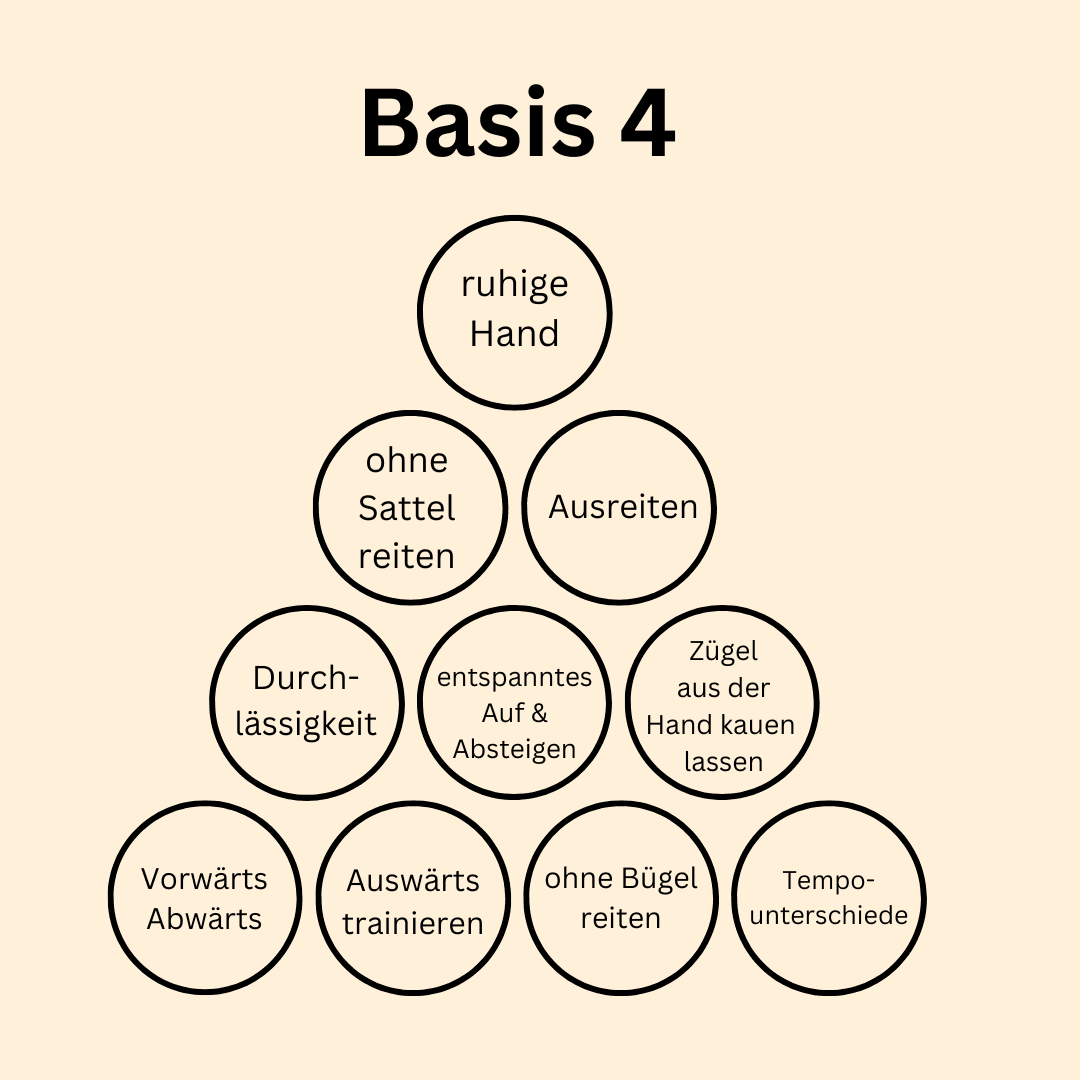 Basis 4
